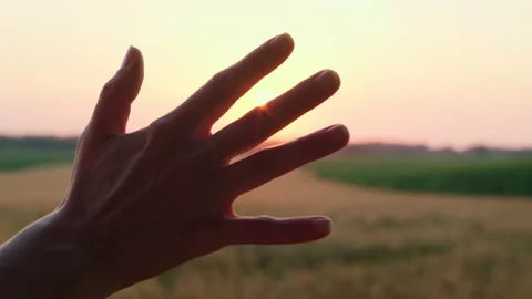 Through the fingers of the hand, the rays of the sun break through at sunset. Stock Footage 171872954