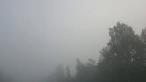 Through the fog in a car Stock Footage 116035377