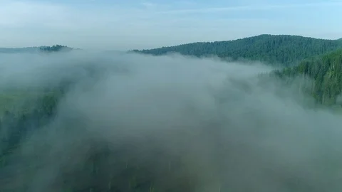 Through the fog Stock Footage 90967560