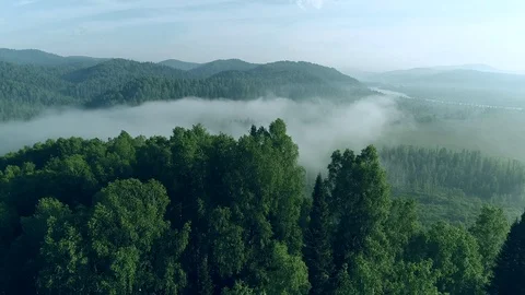 Through the fog Video stock 90967662