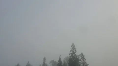 Through the fog Stock Footage 116094164