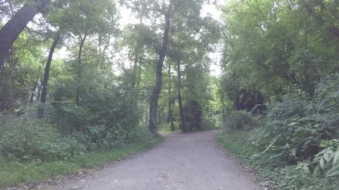 Through the forest Stock Footage 83622267