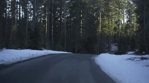 Through front window showing road and forest Stock Footage 171119292