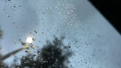 Through the glass Stock Footage 164845201