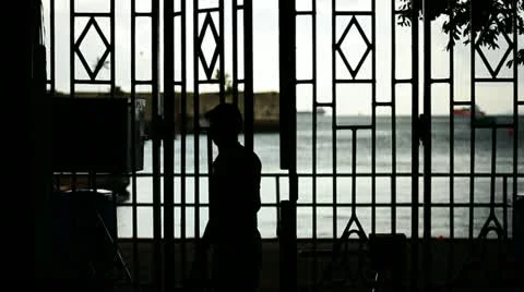 Through the grating. 库存影片 11180843