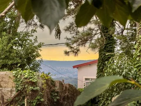 Through the greenery Stock Photos