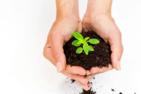 Through hands grows life-5 Фото