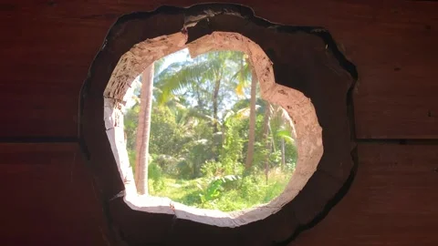 Through the Heart into the Palms Stock Footage 131094821