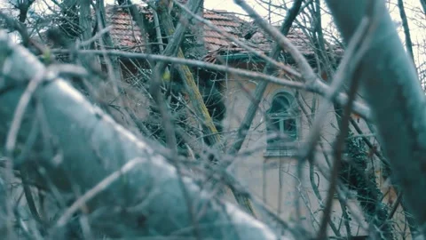 Through a horror branches, you can see an abandoned house with dark windows and Stock Footage 315180331