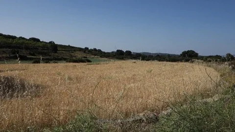 Through the interior of Castellon Stock Footage 77031972