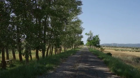 Through the interior of Castellon Stock Footage 77031985