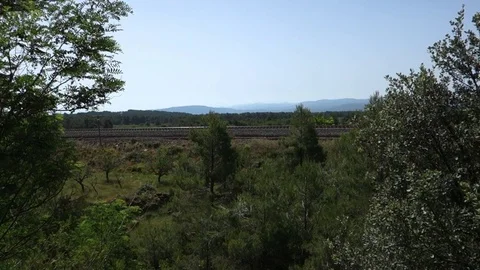 Through the interior of Castellon Stock Footage 77032000