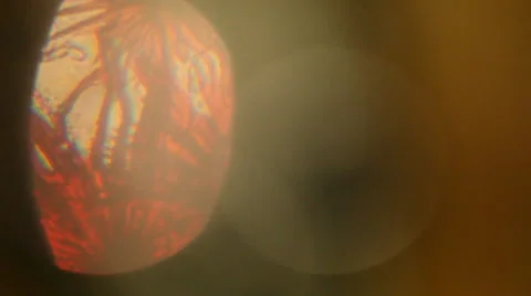 Through the lens of Microscope Stock Footage 31560266