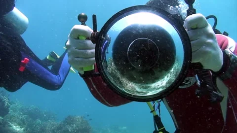 Through the Lens of an Underwater Explorer in the Deep Blue Sea 스톡 동영상 321061935