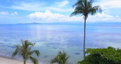Through palm to open sea view Stock Footage 89531329