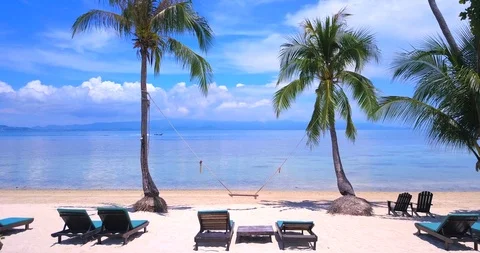 Through palm to open sea view Video stock 89542068