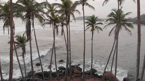 Through palms to ocean Video stock 103322714