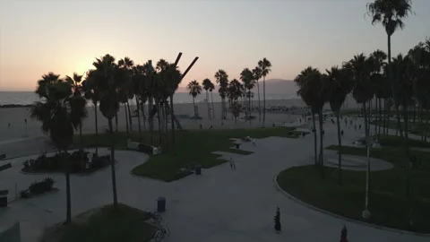 Through the palms trees to beach sunset Stock Footage 285260625