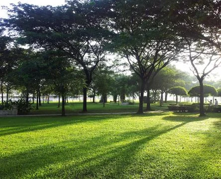 Through the park for jogging or rest Stock Photos