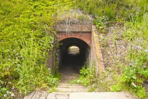 Through Stock Photos