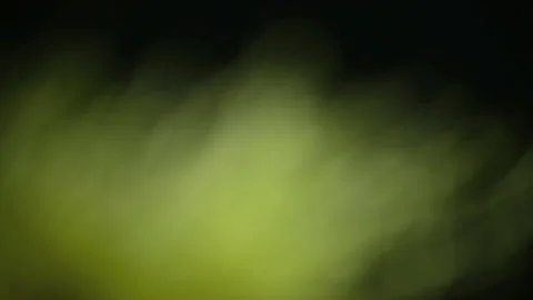 Through plants Stock Footage 113628793