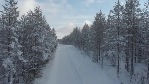 Through the road on the magic forest Video stock 104353522