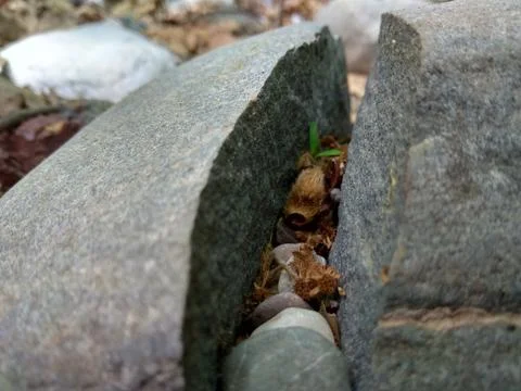Through the rock Foto stock