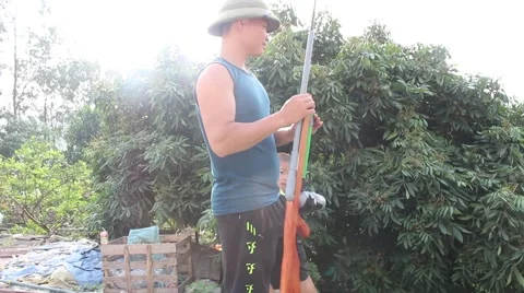 Through shoulder view of a man shooting a gun, sporting gun Stock Footage 49699457