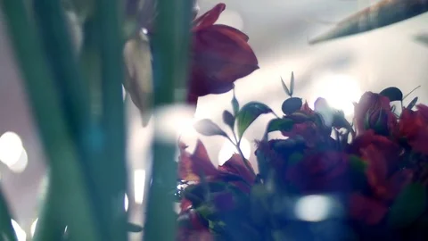 Through the show-window of a flower shop, you can see many different flowers and Stock Footage 77245773