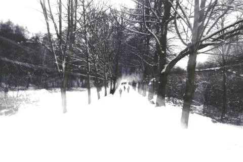 Through the snow Stock Photos