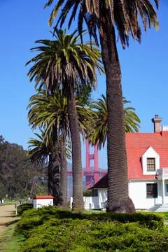 Through some majestic palm trees you can get a glimpse of Golden Gate Bridge Stock Photos