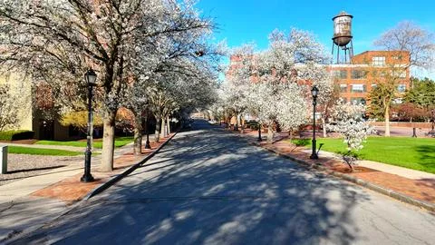 Through the Streets - Syracuse, NY Stock-Fotos