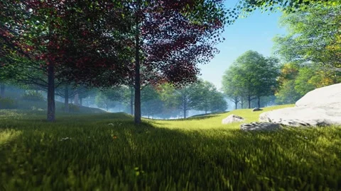 Through the Sunny Meadow 库存影片 251448588