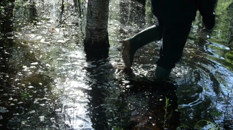 Through swamp forest wade man with rubber boots sunlight  water Stock Footage 34552842