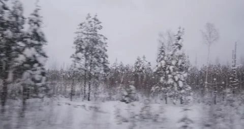 Through the train's window, the woods stand still, their beauty magnified by the Stock Footage 253643774