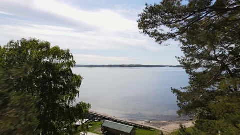 Through the tree tops and out to the sea Stock Footage 147181306