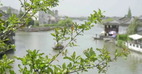 Through Tree View of Gondola in Anicent Water Town of Zhujiajiao, China 4k Video stock 80351501