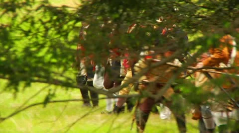 Through Trees of Americans Marching Stock Footage 12162009