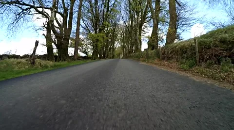 Through the trees Stock Footage 49657036