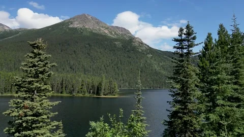 Through the Trees to a Lake in the Mountains Video stock 266294721