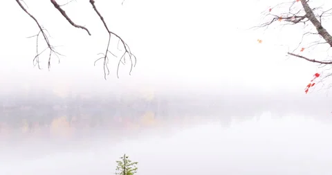 Through the trees at a misty lake in autumn Stock Footage 257706761