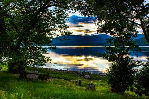 Through Trees Stockfoto's