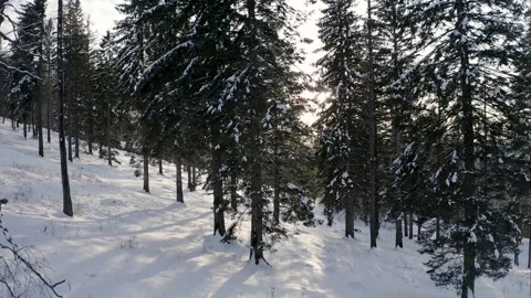 Through The Trees In A Snowy Mountain Forest, Winter Season, Aerial View 库存影片 141577107