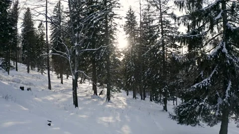 Through The Trees In A Snowy Mountain Forest, Winter Season, Aerial View 库存影片 141577278