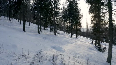 Through The Trees In A Snowy Mountain Forest, Winter Season, Aerial View 库存影片 141577562