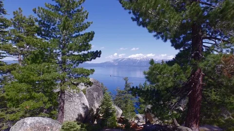 Through trees toward River Boat 001606 DJI_0004 Stock Footage 90021422