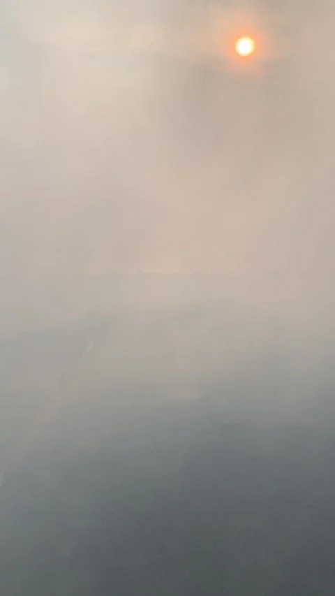 Through The White Smoke On The Rice Fields Stock Footage 236747918