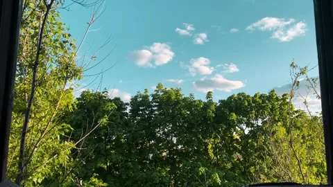 Through the window of an abandoned building you can see the sky and greenery in  Stock Footage 261761560