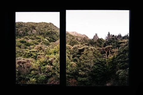 Through a window, a dense forest mountainside is visible Stock Photos