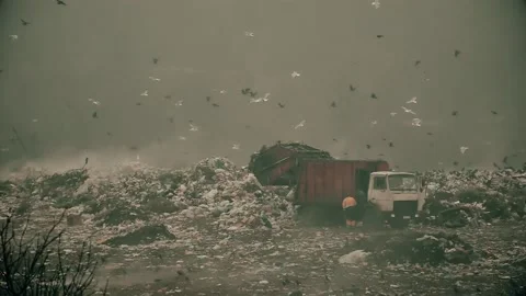 Throw away the waste. Unsorted trash. Garbage truck unloads junk. Landfill. Stock Footage 125629649